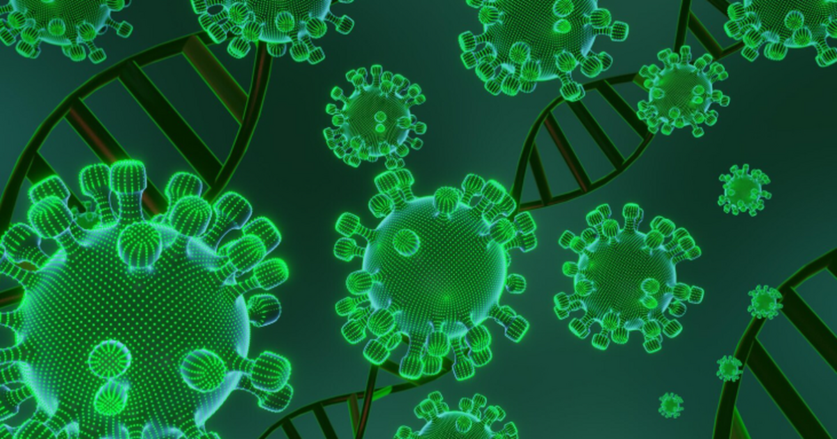 Исследователи раскрыли механизм быстрого размножения коронавируса в клетках Учёные выяснили, как коронавирус перестраивает ...