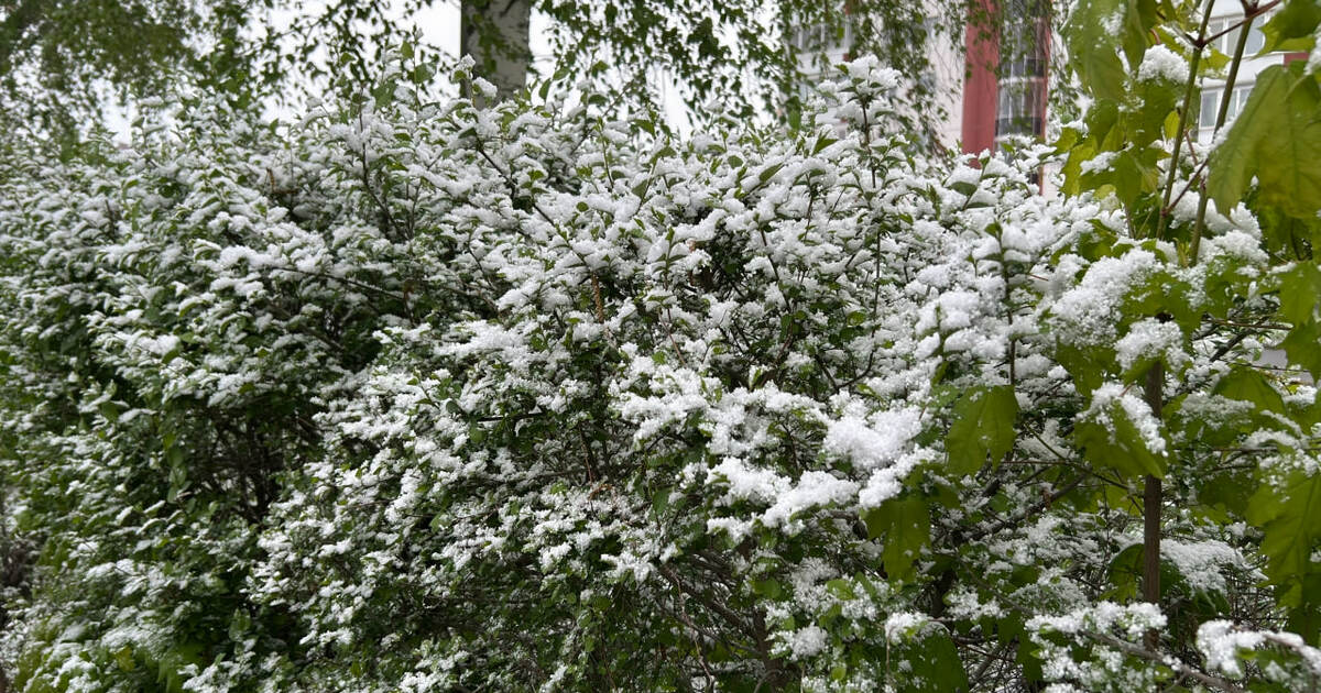 Приволжское УГМС: в Самарской области ноябрь будет теплее обычного Средняя температура воздуха в Самарской области...