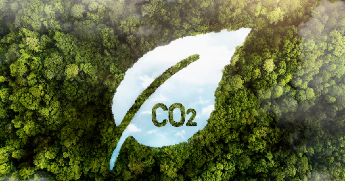 Учёные в Новосибирске разработали способ перера...