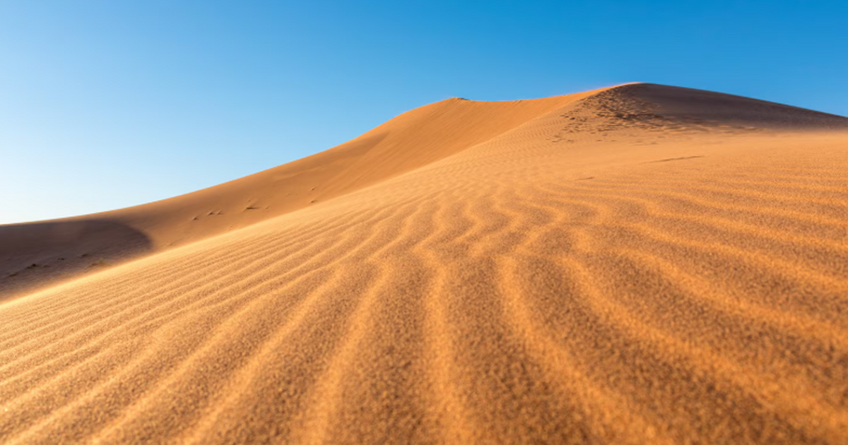 Международный коллектив под кураторством Кельнс...