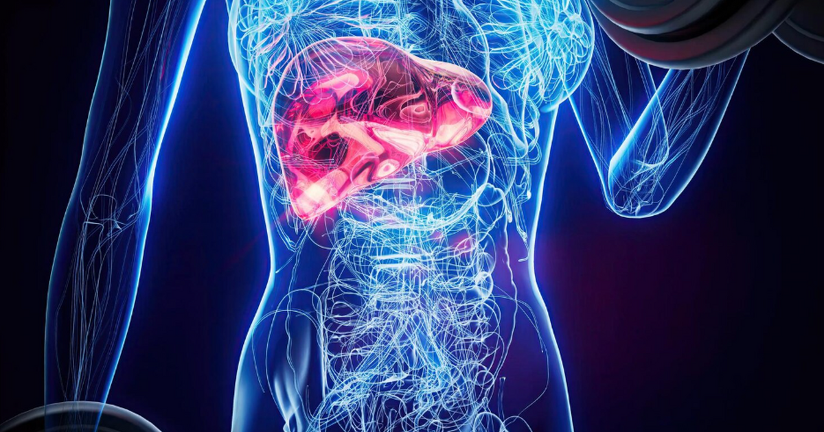 Сеченовский университет создал "печень-на-чипе"...