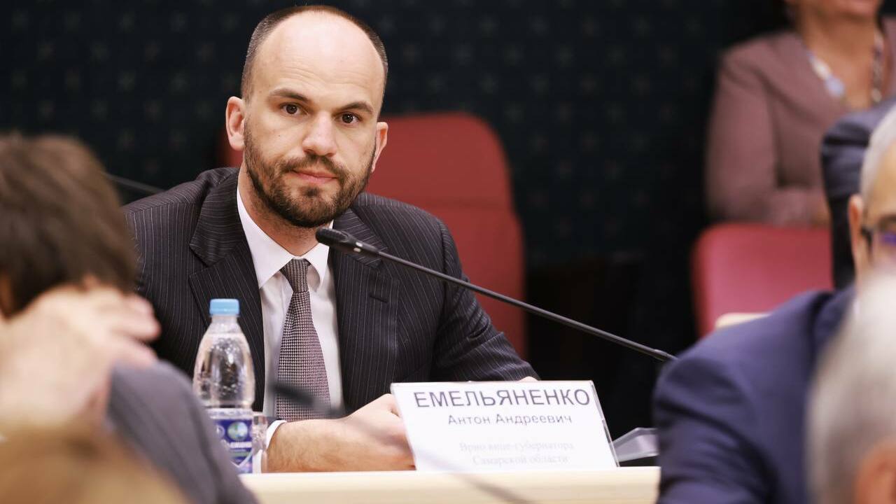 Антон Емельяненко займется оптимизацией госаппа...