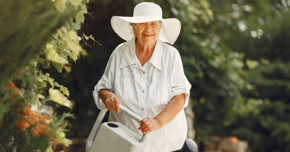 Турецкие учёные показали, что умеренное садовод...