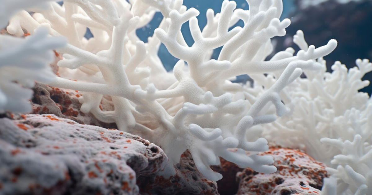 Экологи зафиксировали, что тепловые волны 2014–...