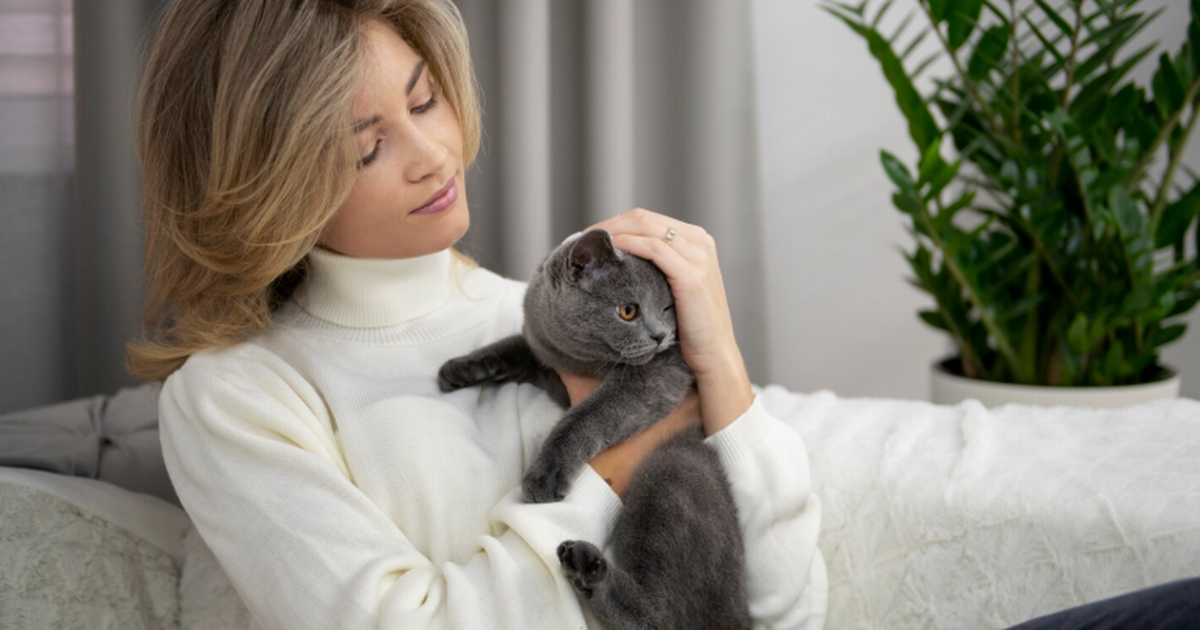 Учёные нашли связь между домашней кошкой и риском шизофрении Наличие кошки в доме может почти вдвое повышать...