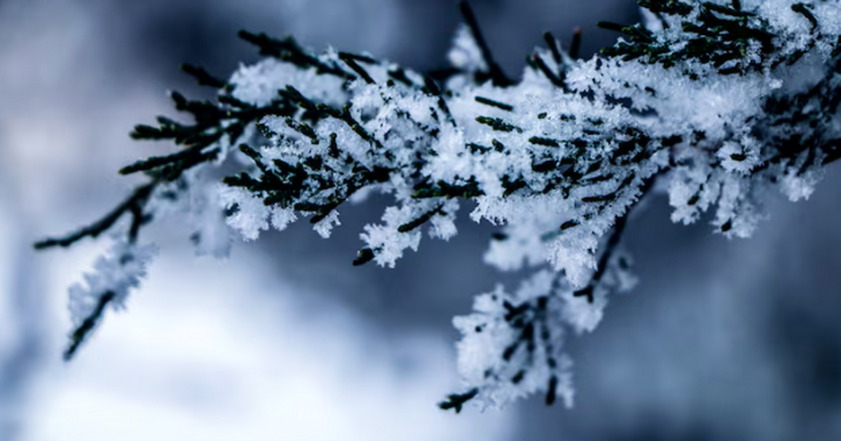 Впереди резкая смена погоды: европейскую часть ...