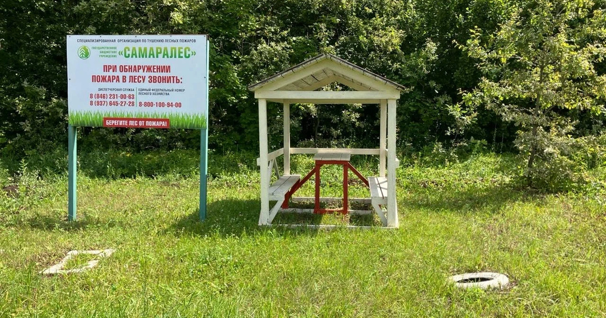 На территории государственного лесного фонда об...