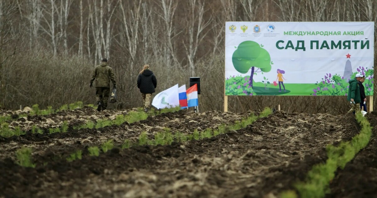 За всё время участия в акции в регионе высадили...