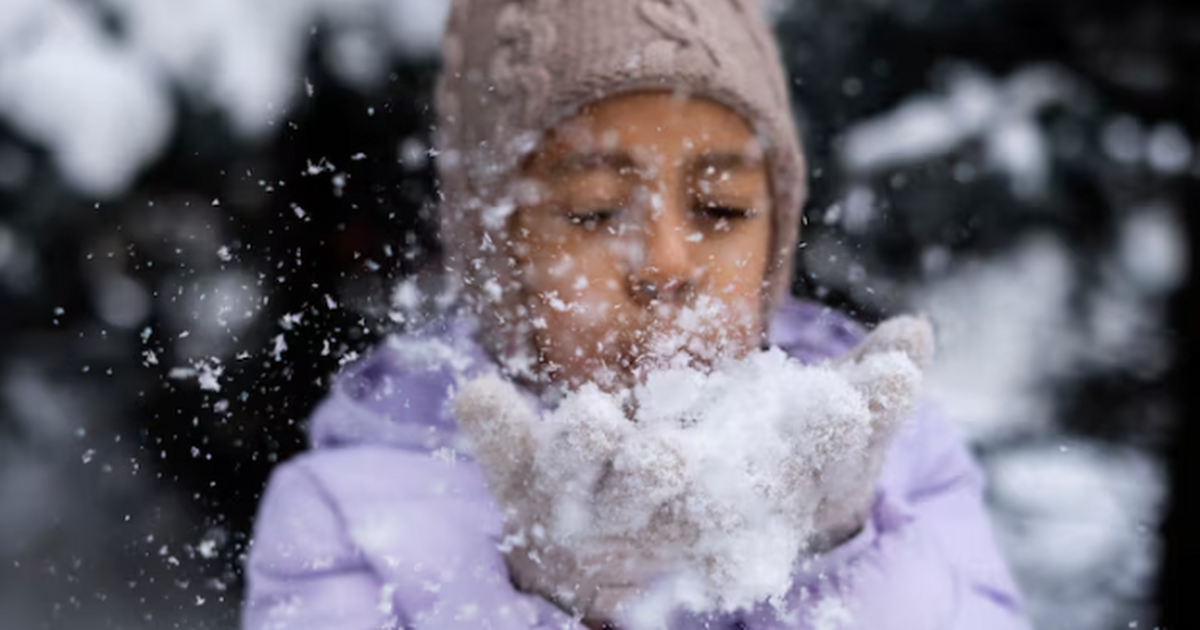 Зимой начнется то, чего не было с 1772 года: рекордные снегопады и резкие перепады - предупреждают синоптики Синоптики ждут крайне нестабильную зиму 2025/26...
