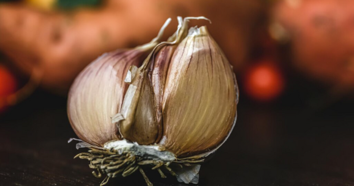 Чеснок начнет расти как на дрожжах: названы лучшие даты для богатого урожая в 2025 году Урожай чеснока на 90% закладывается осенью. Есл...