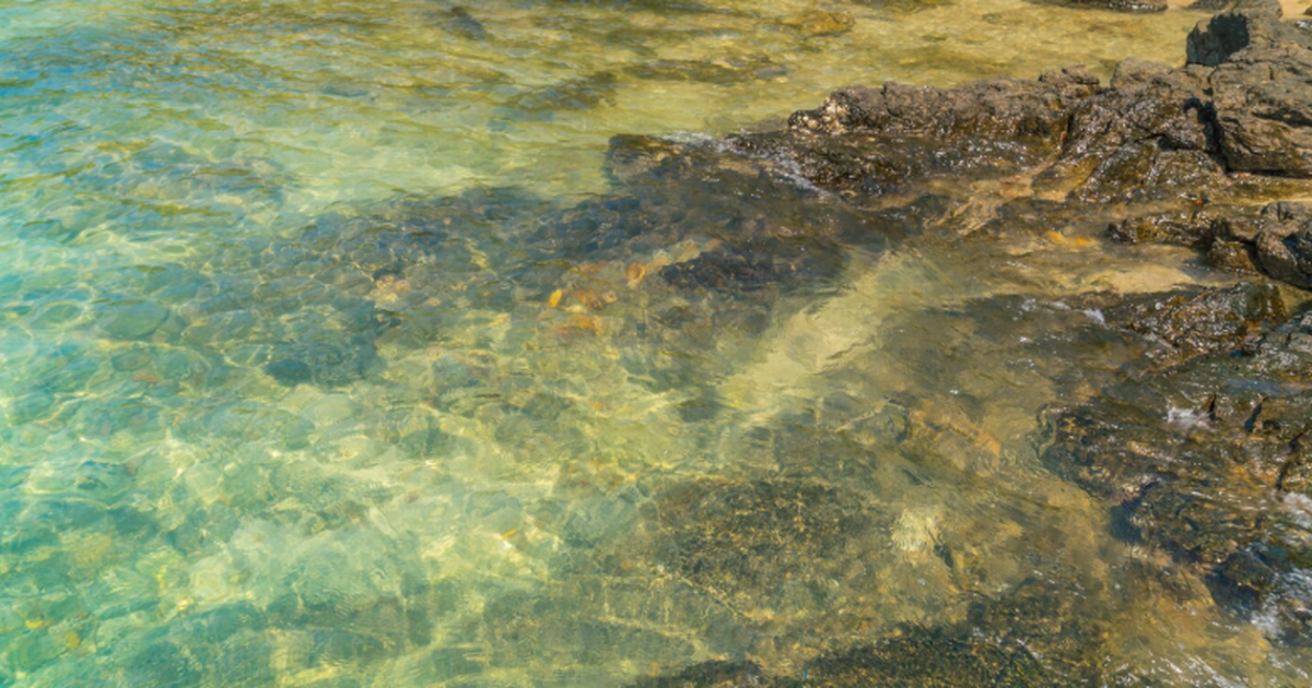 Учёные зафиксировали ослабление Атлантической м...