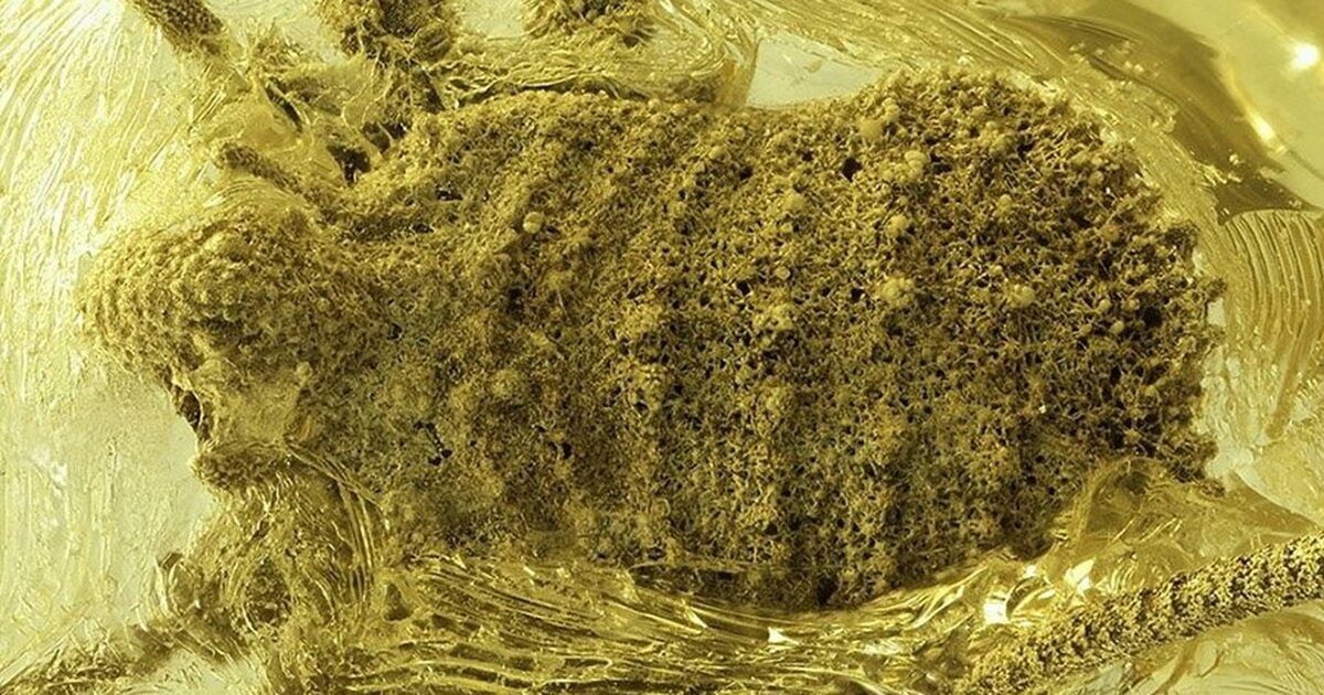 Анализ образцов проводился с использованием све...