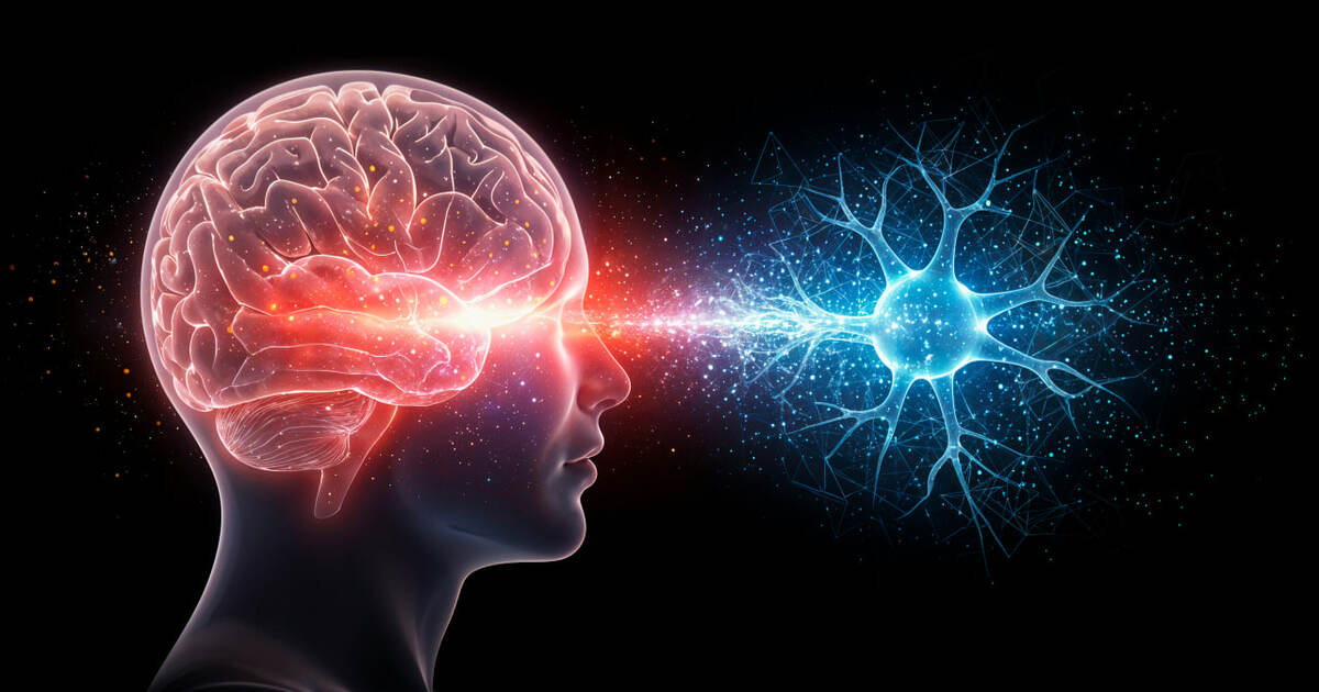 Nature Communications: мозг человека проходит п...