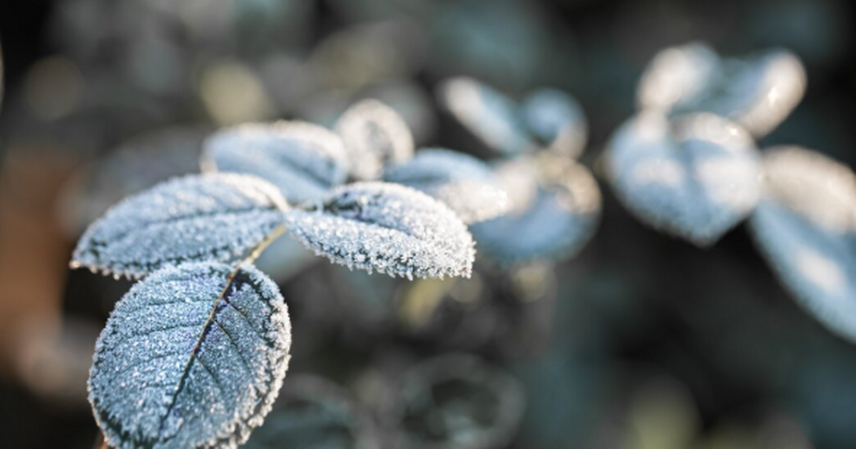 Центральная Россия поймала редкую «паузу» перед...