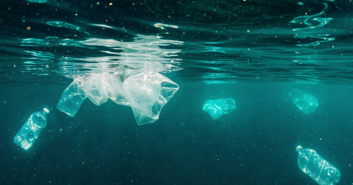 Микропластик в Байкале: где обнаружены основные...