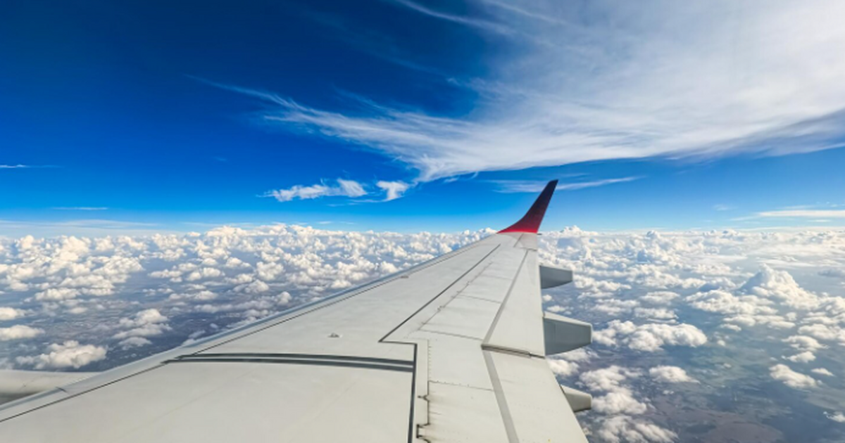 S7 Airlines объявила распродажу с скидками до 5...