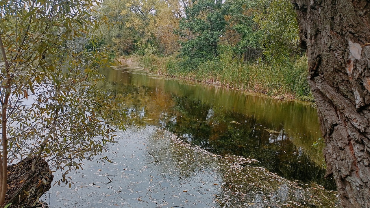 Получается, что пока на юго-западе Сибири погод...
