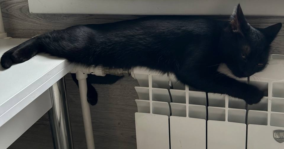 Это является частью общей тенденции