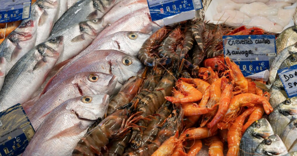 Названа самая полезная для человека рыба: ешьте 2 раза в неделю – много фосфора и селена Самая ценная для здоровья рыба — выловленная в ...