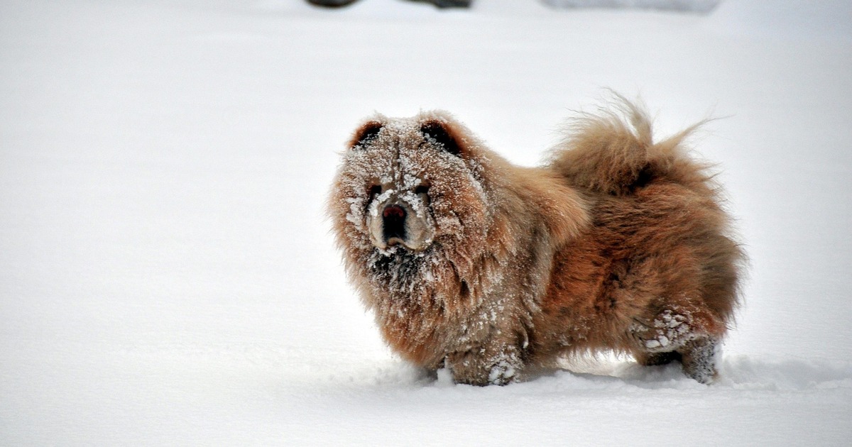 Опасны могут быть не только реагенты, но и сам ...