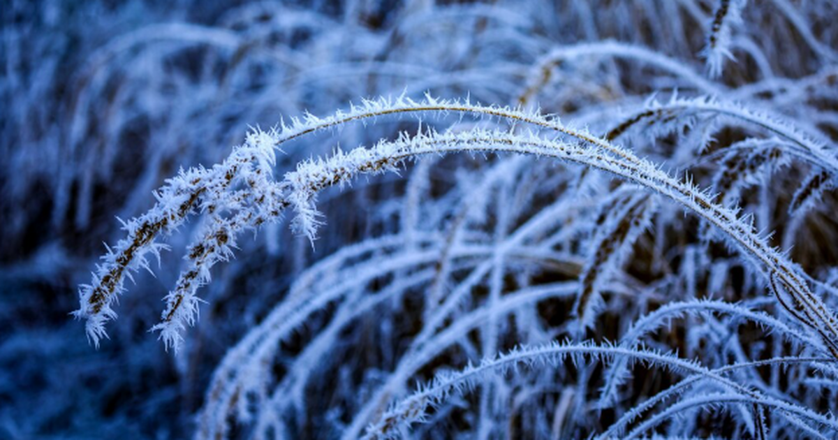 Снега придётся подождать: зима придёт во второй...