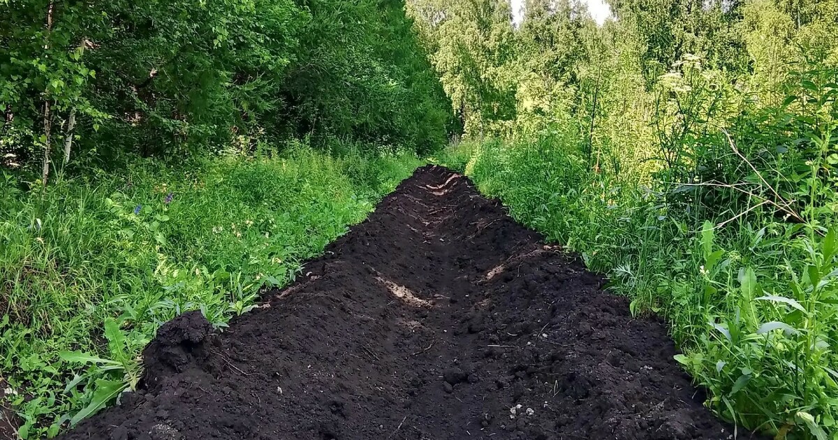 В лесах Самарской области обновляют 26 тысяч километров минерализованных полос По данным на конец июля, специалисты выполнили ...