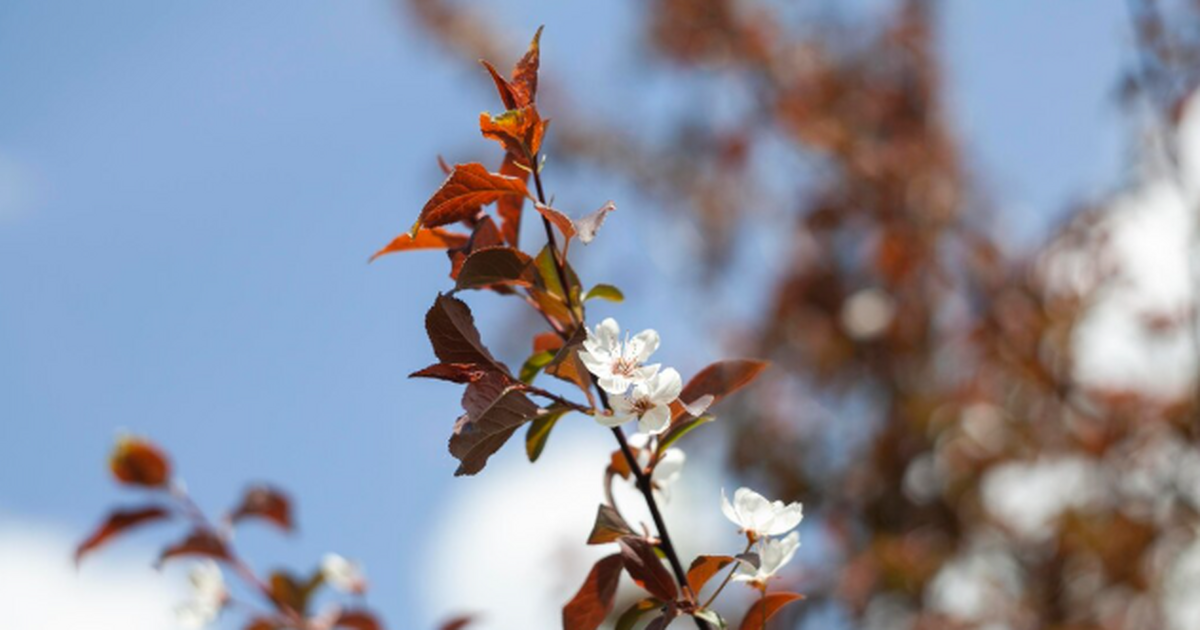 Резкое потепление как молот: раскрыт точный календарь весеннего пробуждения природы Сугробы до апреля: весна задержится Активное та...