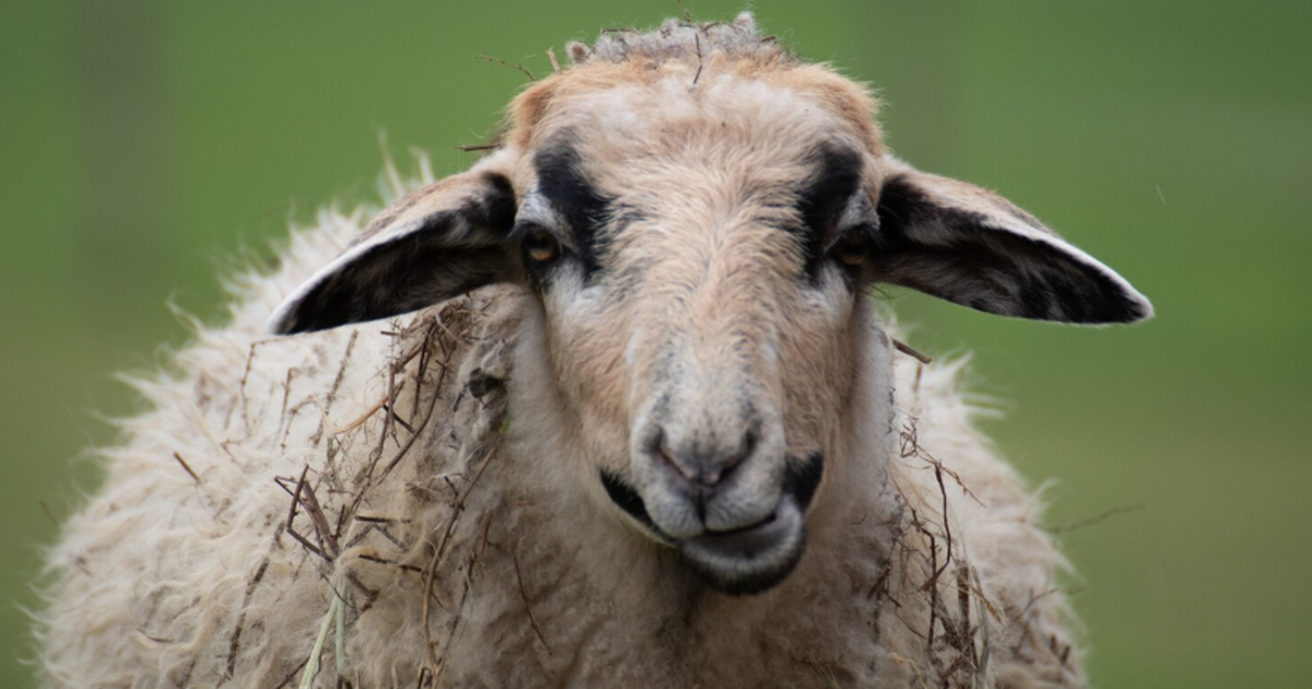 Международная команда учёных сделала находку, к...