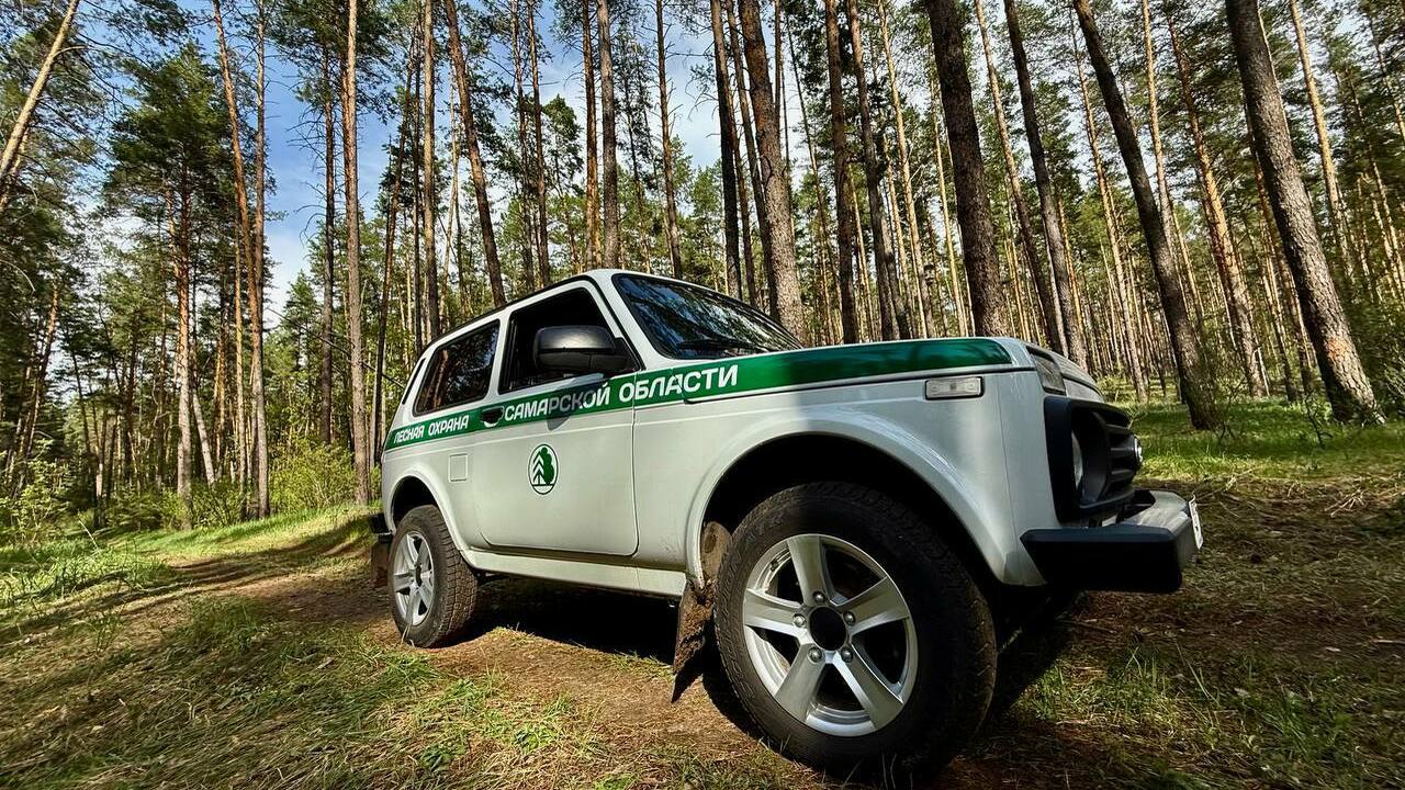 Защиту лесных угодий обеспечивают более 200 сот...