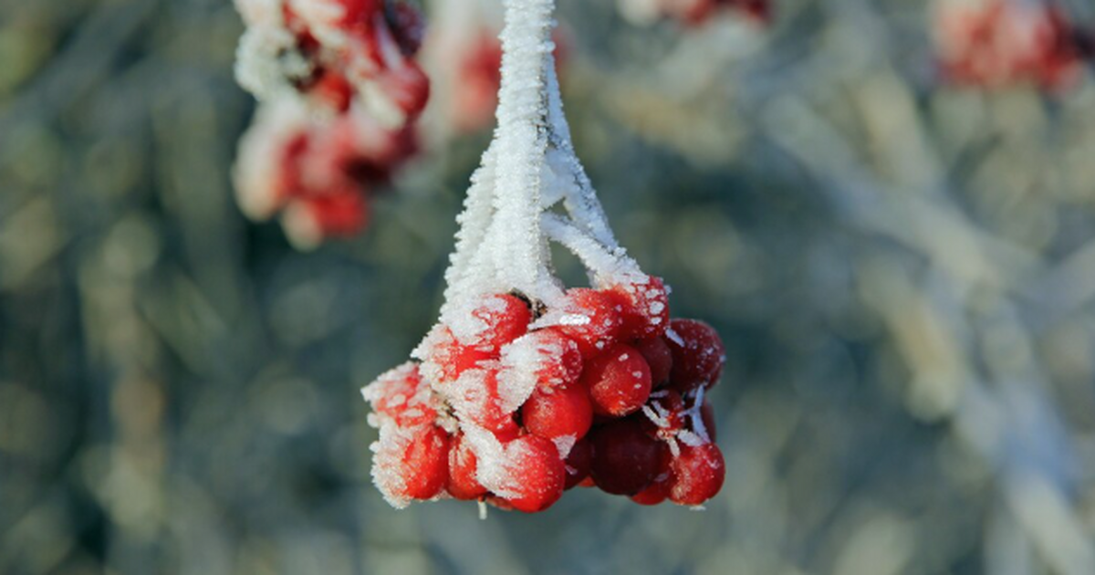 Резкое похолодание в России: Морозы до -46°С на...