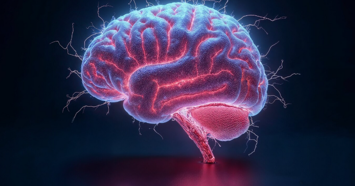 Ученые обнаружили механизм в мозге, который мож...