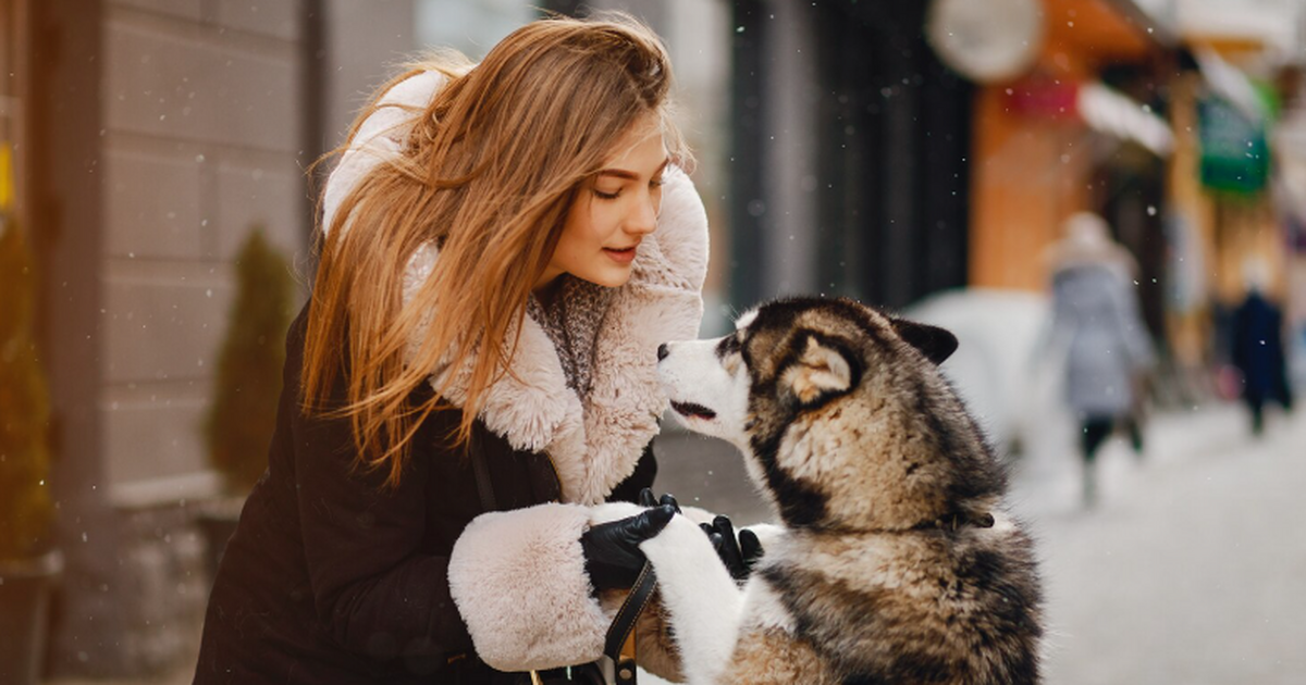 Священник Александр Ильяшенко заявил, что вечна...