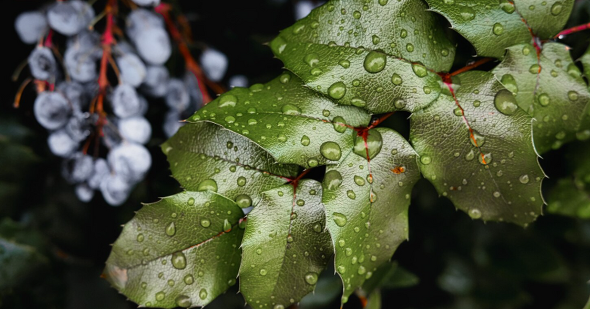 Российские исследователи установили, что интенс...