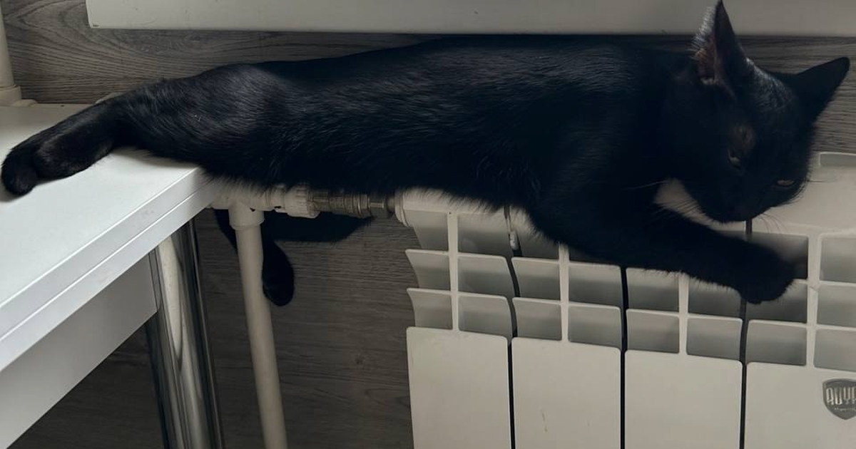 Проверка выявила недостаточную температуру тепл...