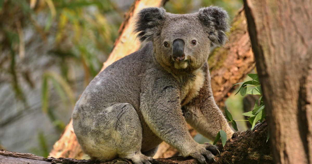 Исследование позволило точнее определить, когда...