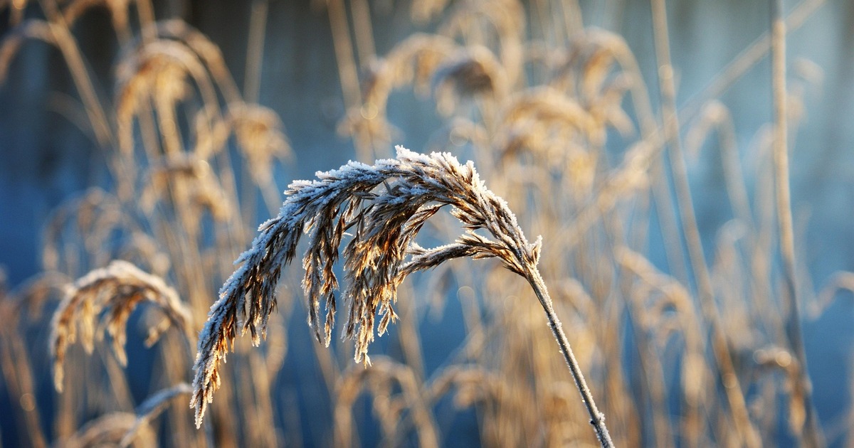 Приволжское УГМС поделилось прогнозом на ближай...