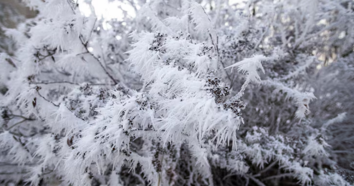 Аномальные морозы накроют большую часть России в феврале Синоптики прогнозируют, что в феврале температу...