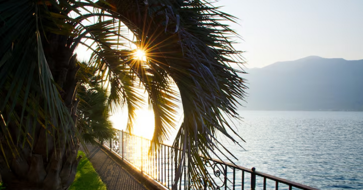 Отдыхающие в Сочи отмечают прохладную погоду и ...