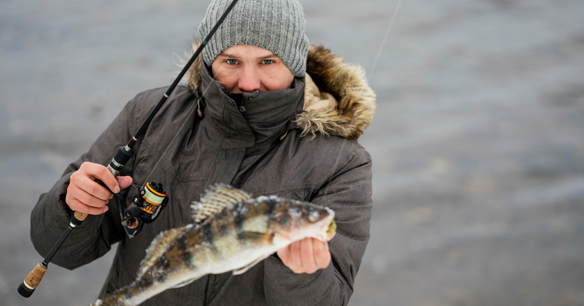 Трофейный ноябрь: гид по лучшим рыбным местам Самарской области от рыбака с 40-летним стажем Осень в Самарской области в этом году радует не...