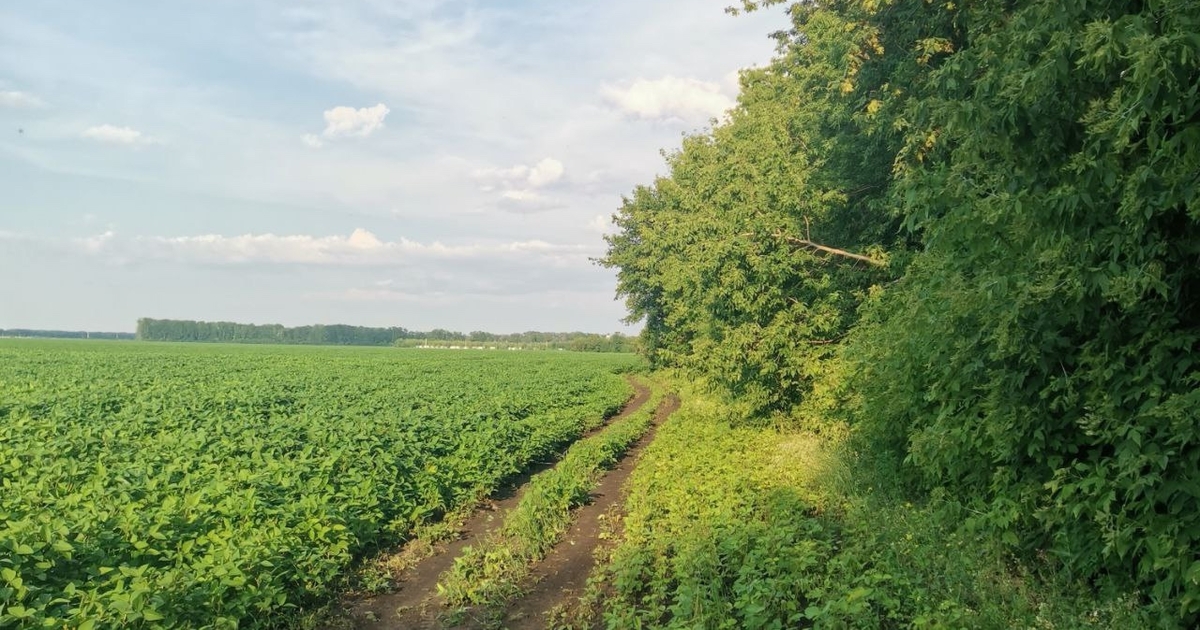 Всего в Самаре действуют 47 мер поддержки для у...