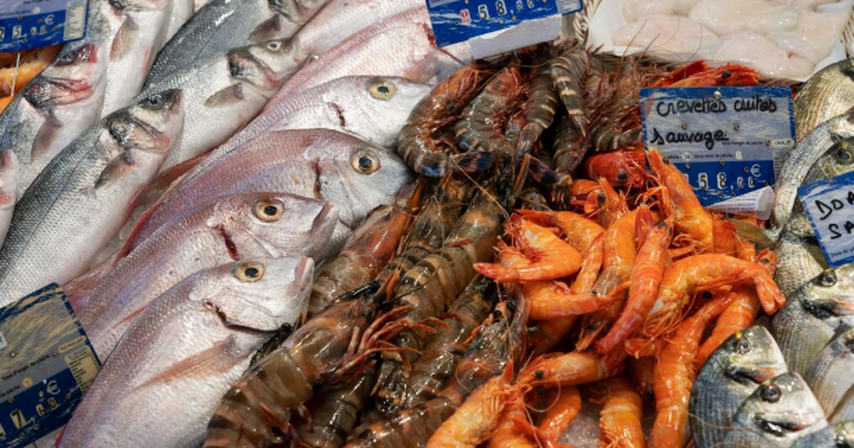 Как выбрать самую полезную рыбу и не ошибиться ...