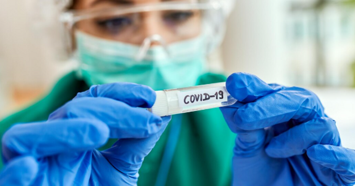 Международная группа учёных установила, что аль...