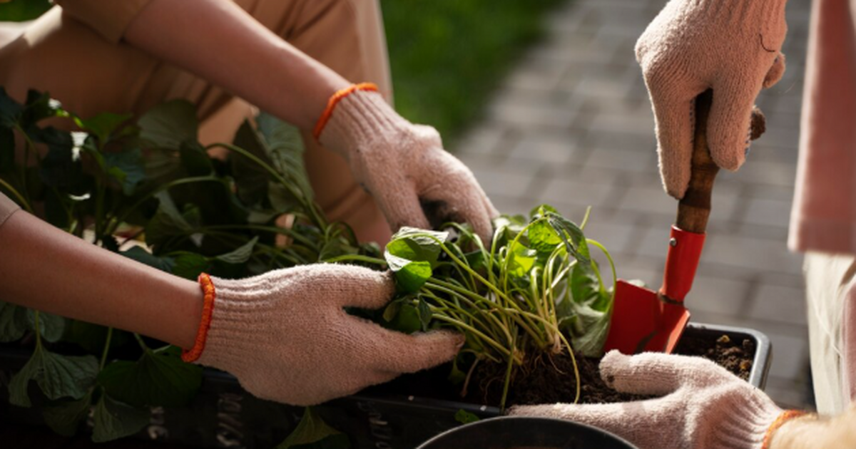 Ноябрь — вовсе не «финал дачного сезона». Это у...