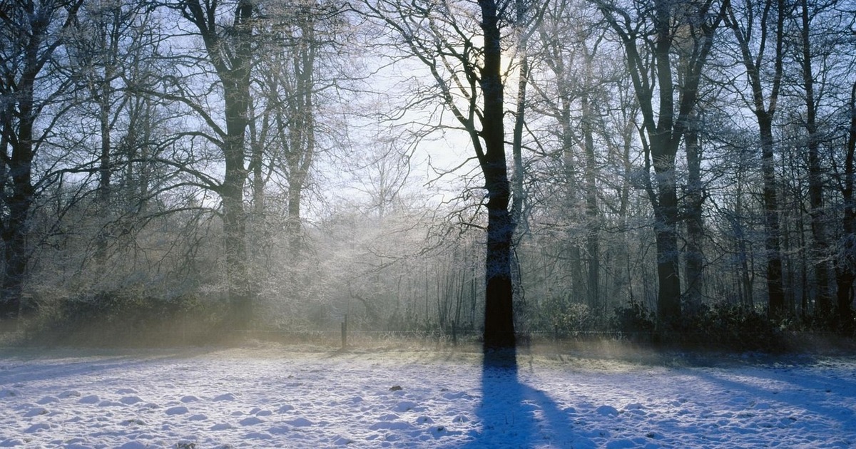 В начале недели в регион будут поступать более ...