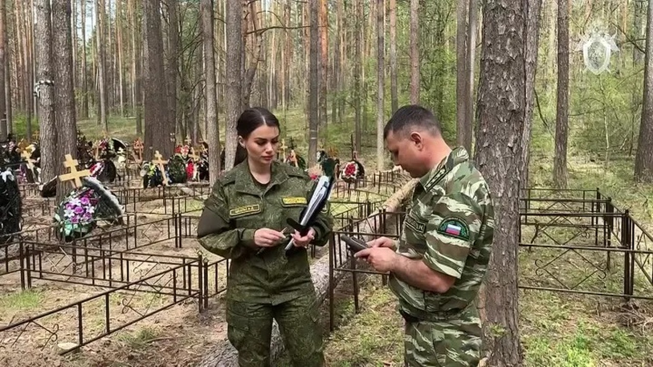 Глава муниципалитета выдал более 2 000 незаконн...