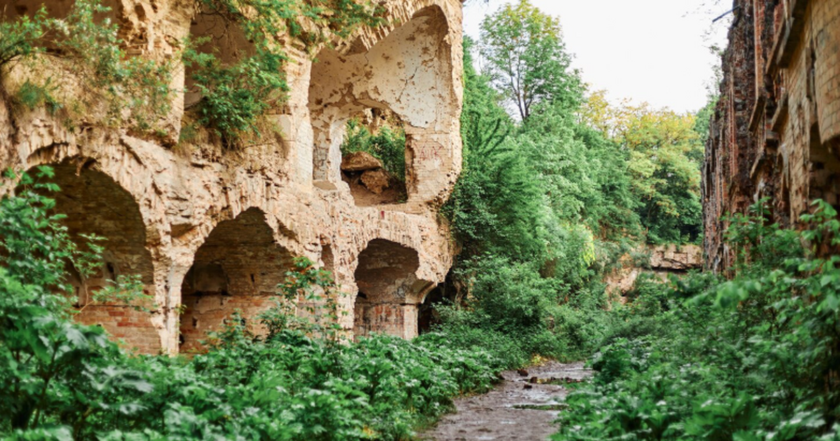 Новое открытие: на аэрофотоснимке 1941 года найдены остатки персидского сада На аэрофотоснимке 1941 года в Тебризе обнаружен...