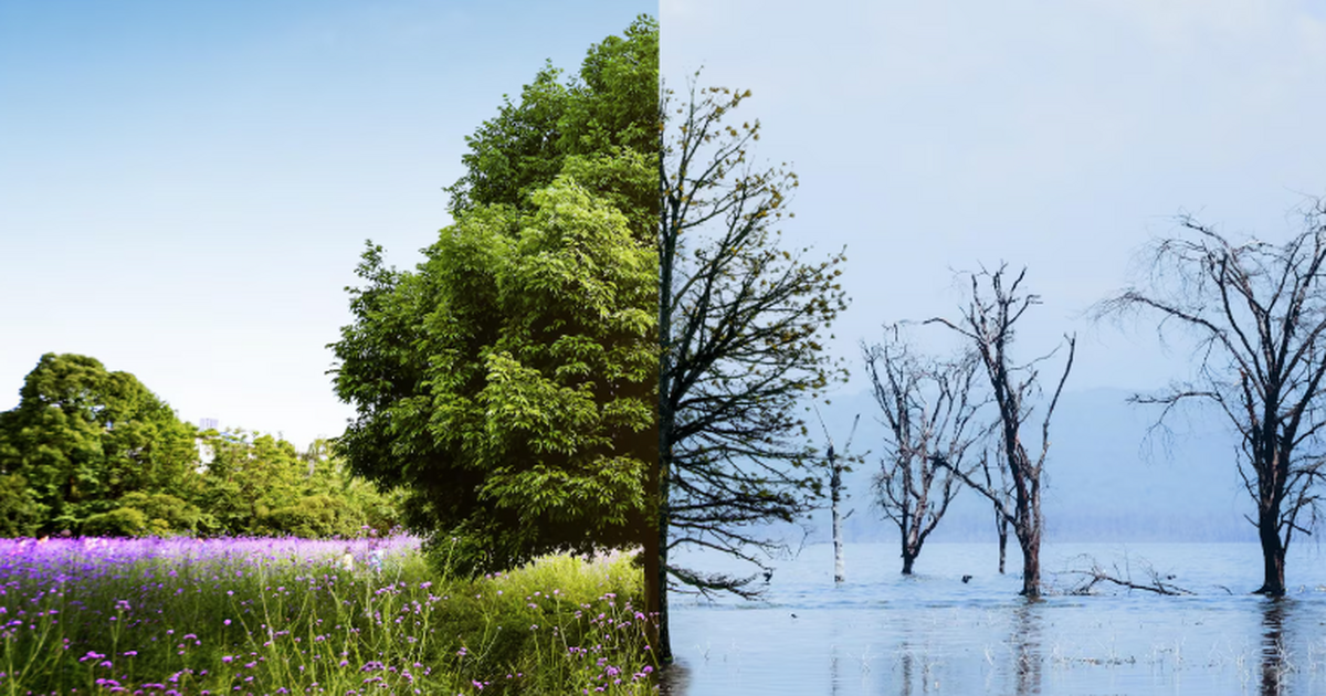 Климатологи: беспрецедентный климатический сдвиг грозит тяжёлыми последствиями Климатологи предупреждают: на планете формирует...