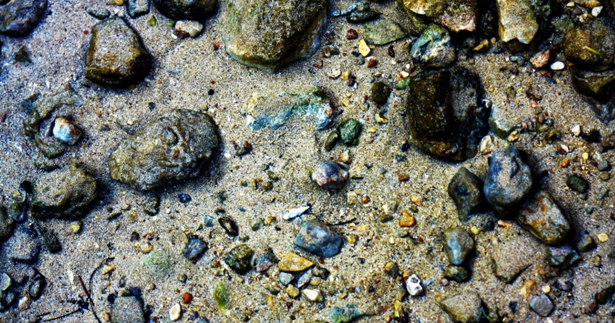 Команда биологов в ходе испытаний техники для д...