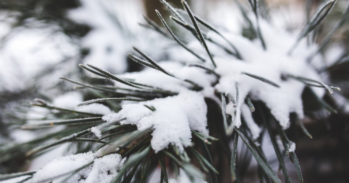 Главная цифра этого января — осадков будет боль...