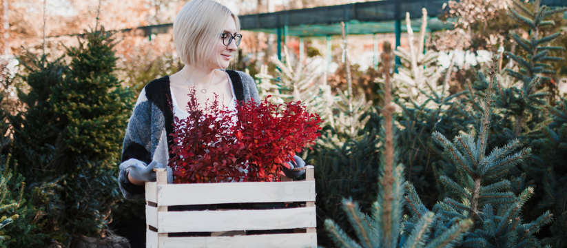 ТОП-10 самых холодостойких растений для дачи и главные предупреждения от учёного на зиму 2025-2026 Согласно прогнозу Гидрометцентра России, предст...